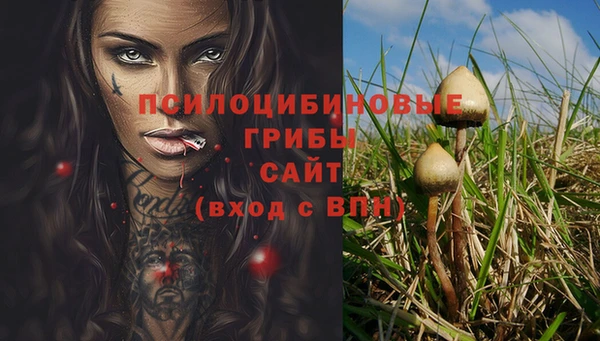 винт Алексеевка